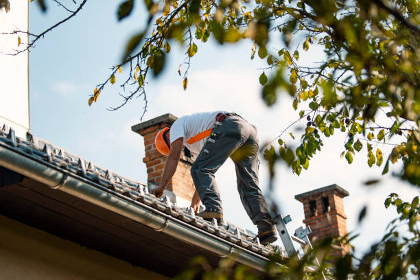 Best Roof Repair Services  in North Corbin, KY